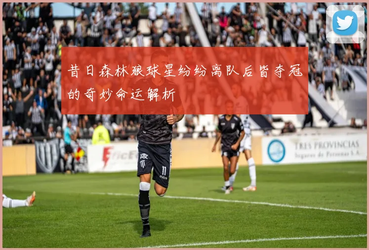 昔日森林狼球星纷纷离队后皆夺冠的奇妙命运解析