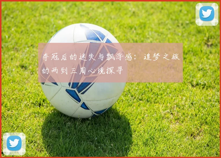 夺冠后的迷失与飘浮感：追梦之旅的两到三周心境探寻