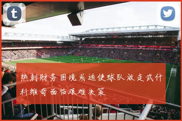 热刺财务困境或迫使球队放走武什科维奇面临艰难决策